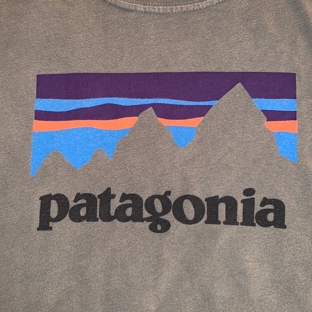 Patagonia Tee T-shirt